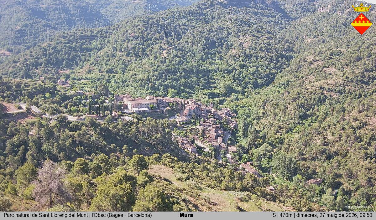 Mura 