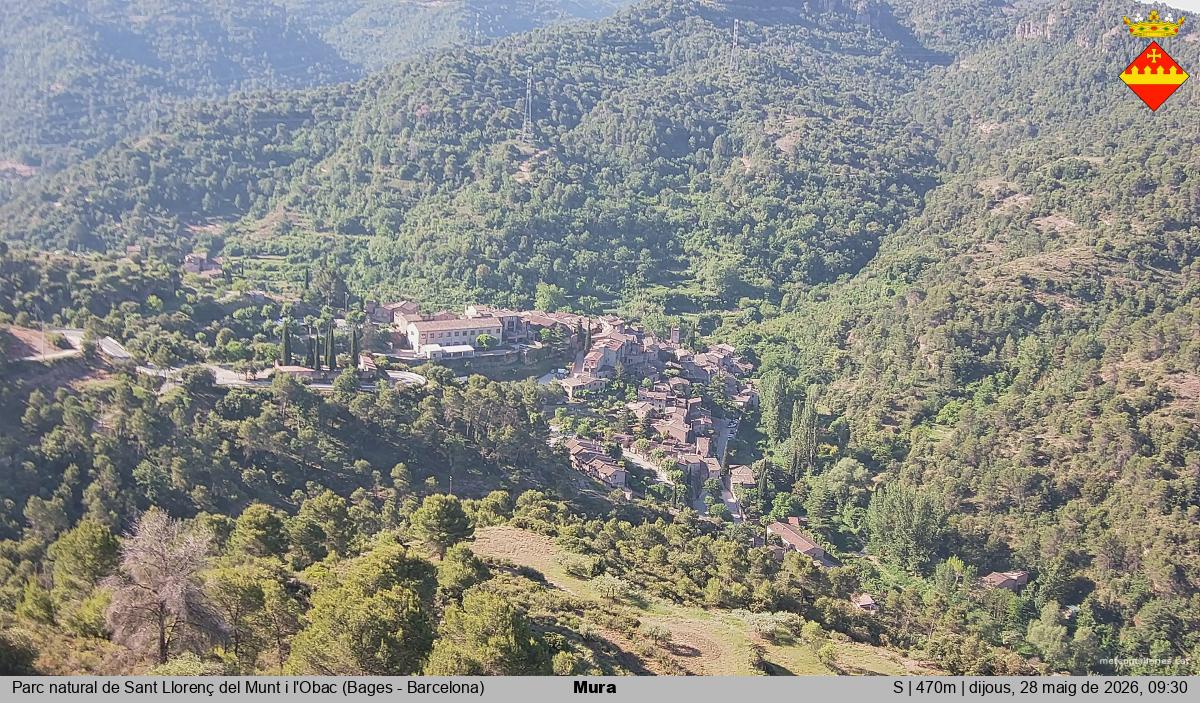 Mura 