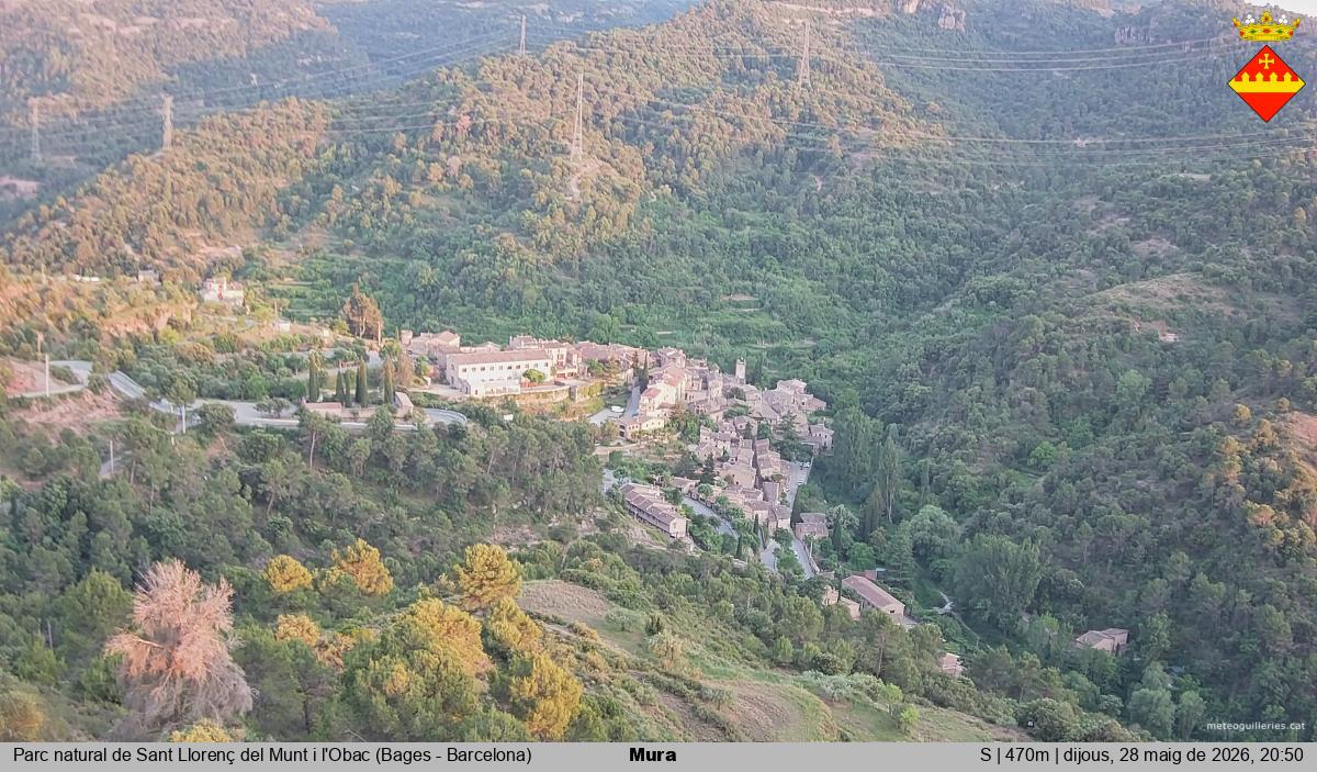 Mura 