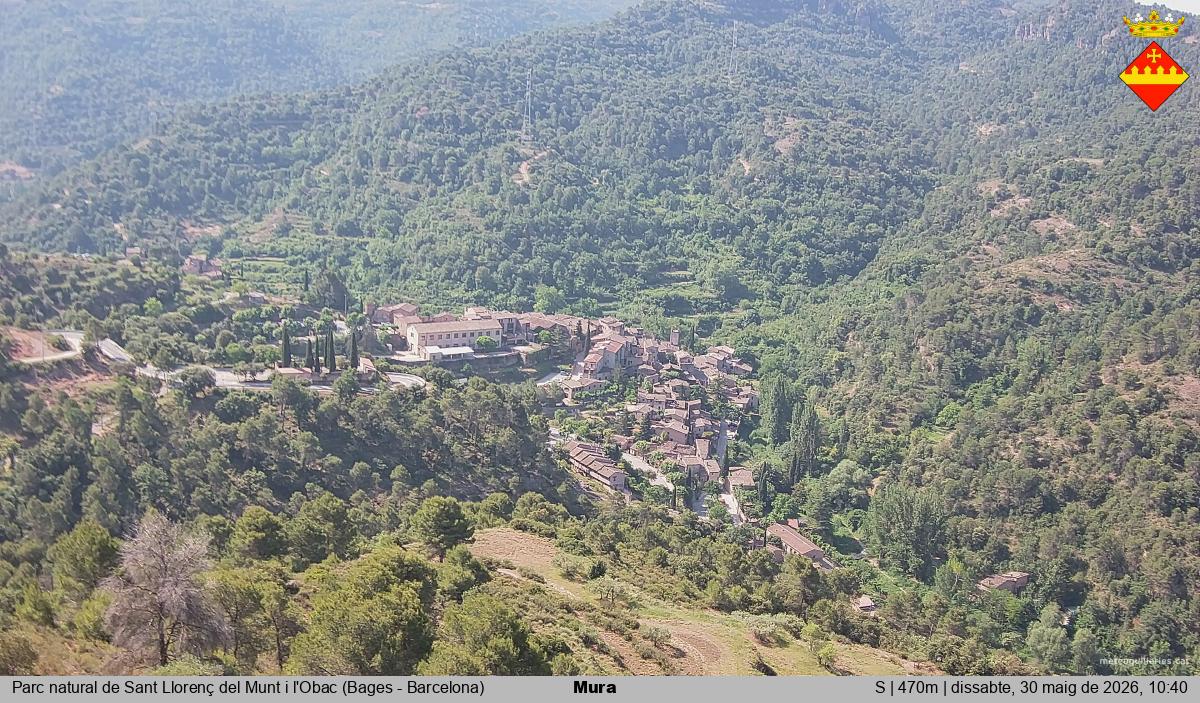 Mura 