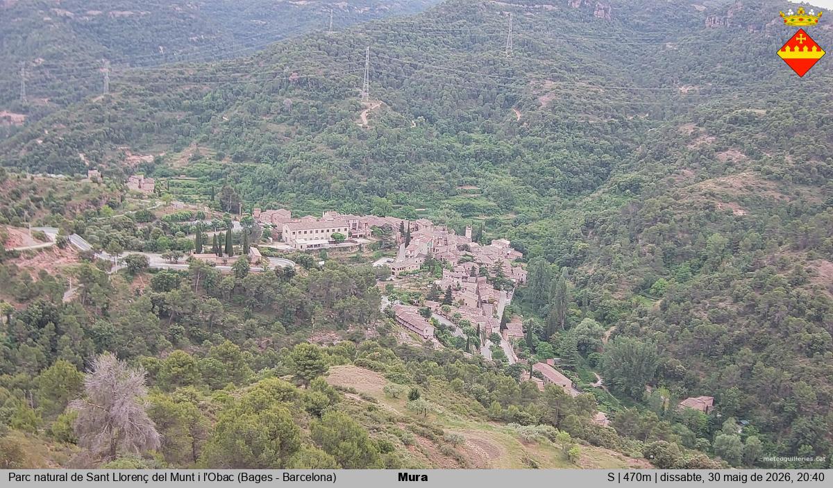 Mura 