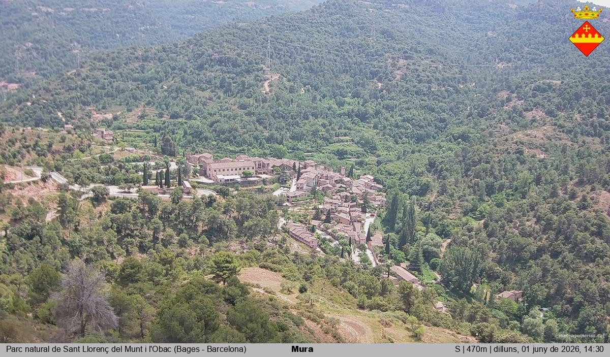 Mura 