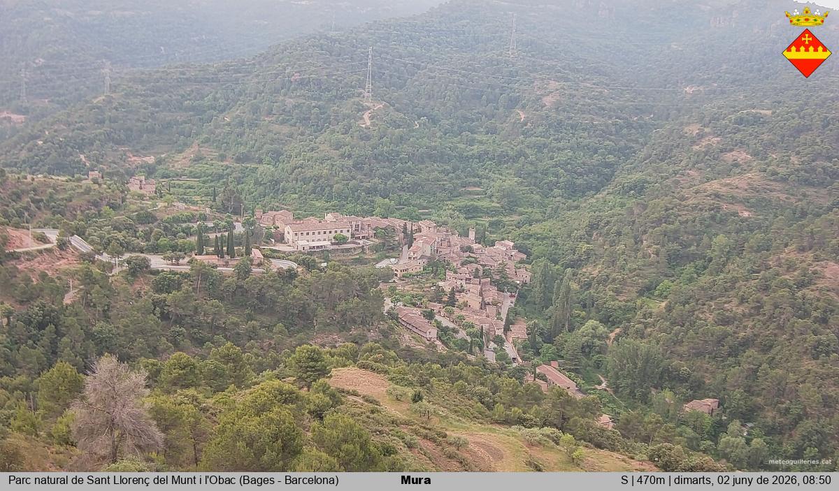 Mura 
