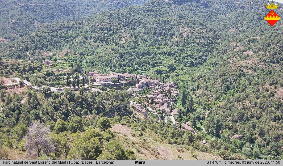 Mura 
