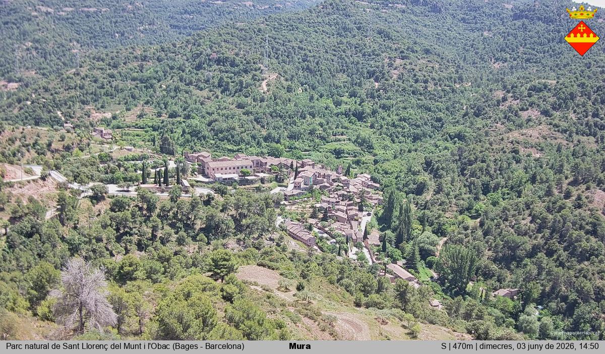 Mura 