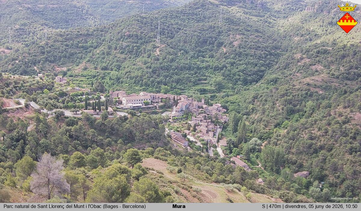 Mura 