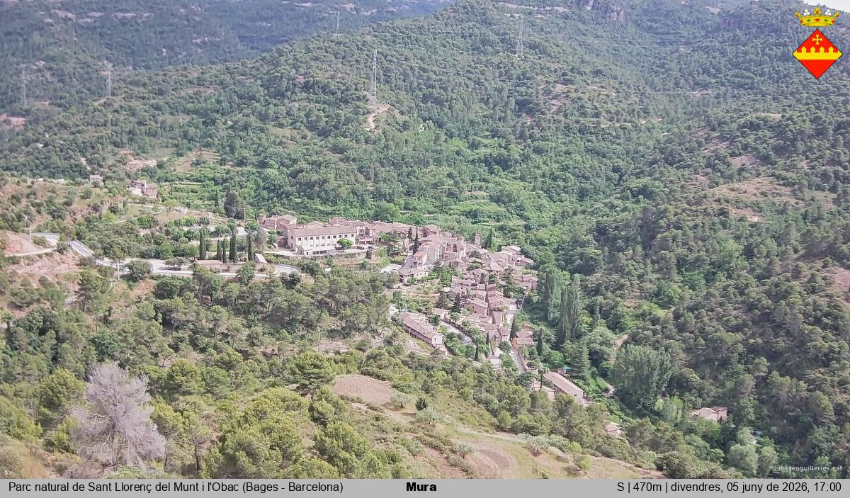 Mura 