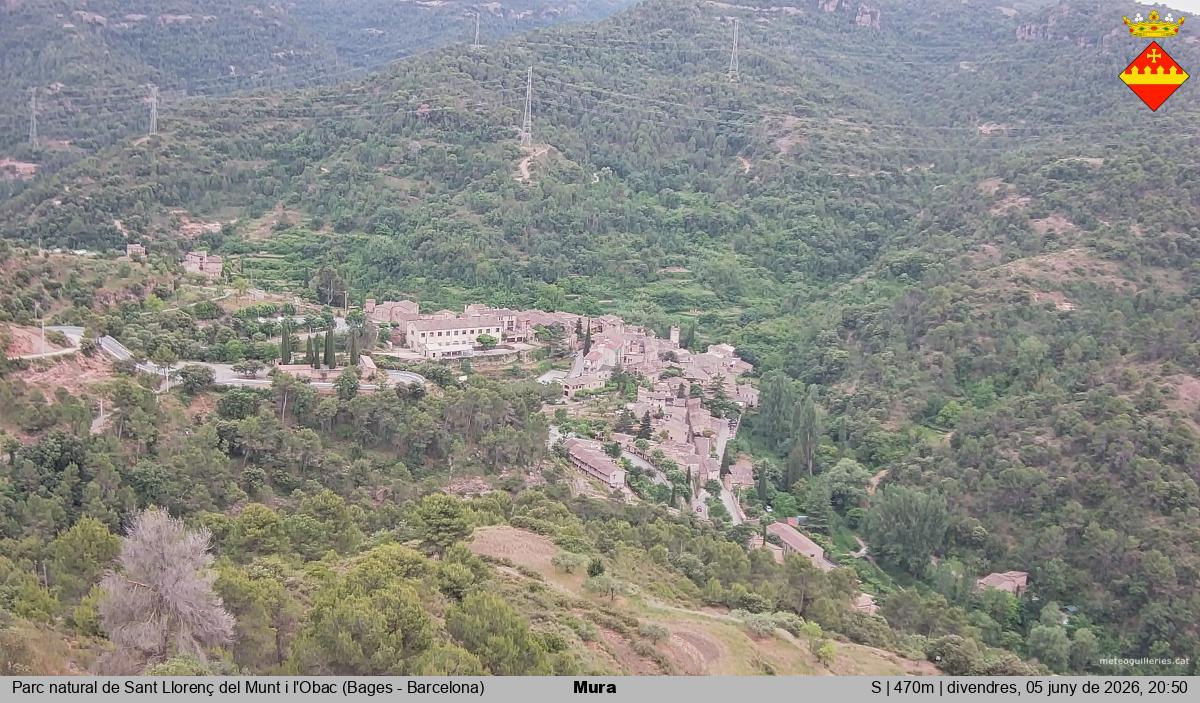 Mura 