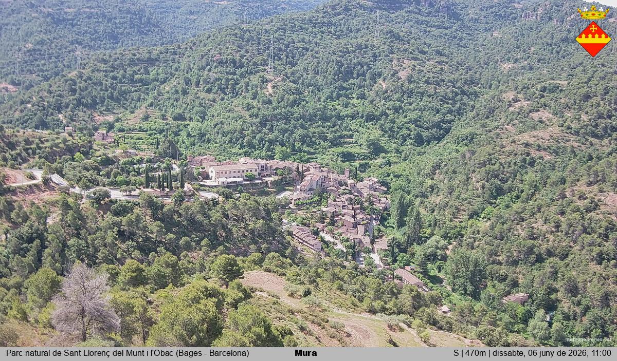 Mura 
