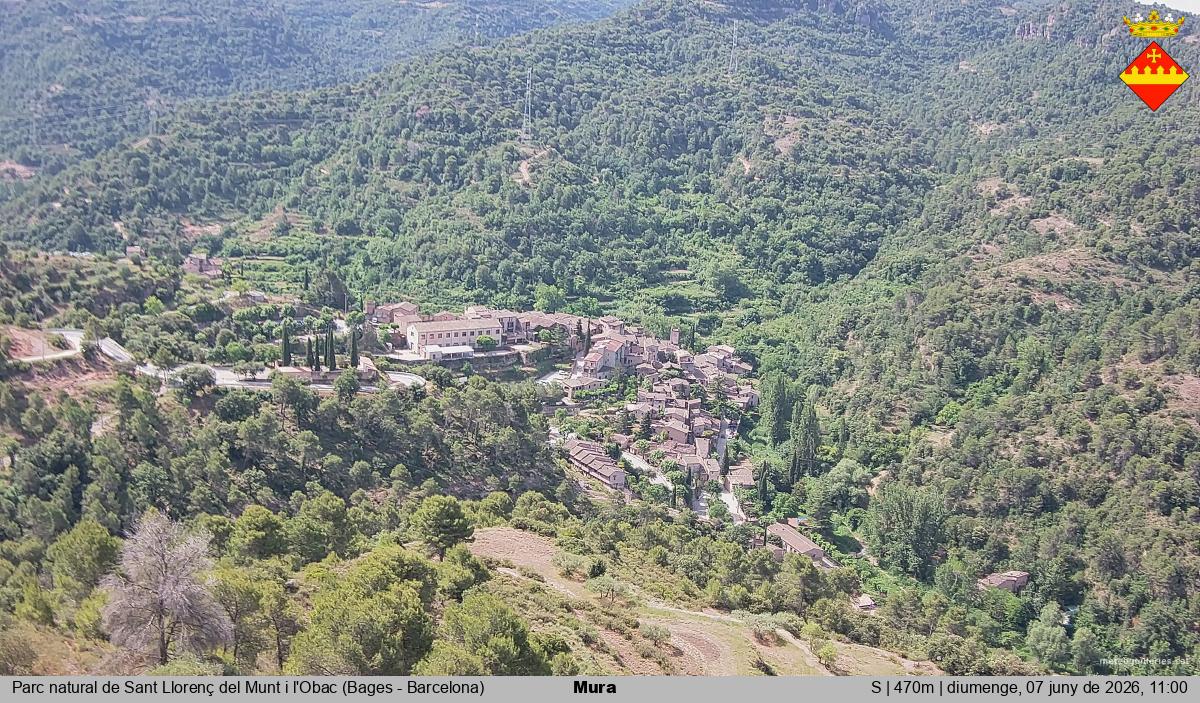 Mura 