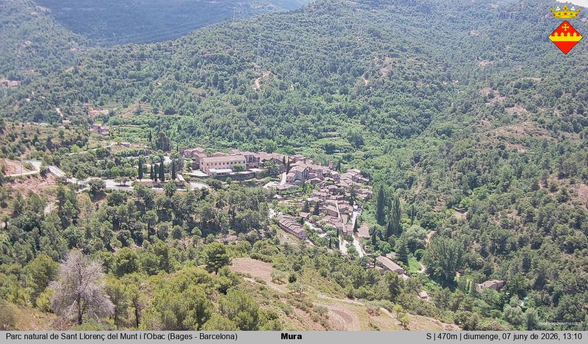Mura 
