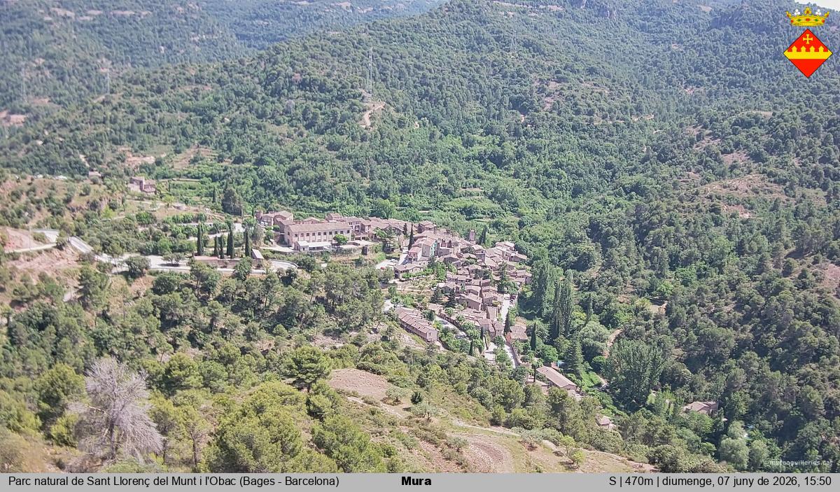 Mura 