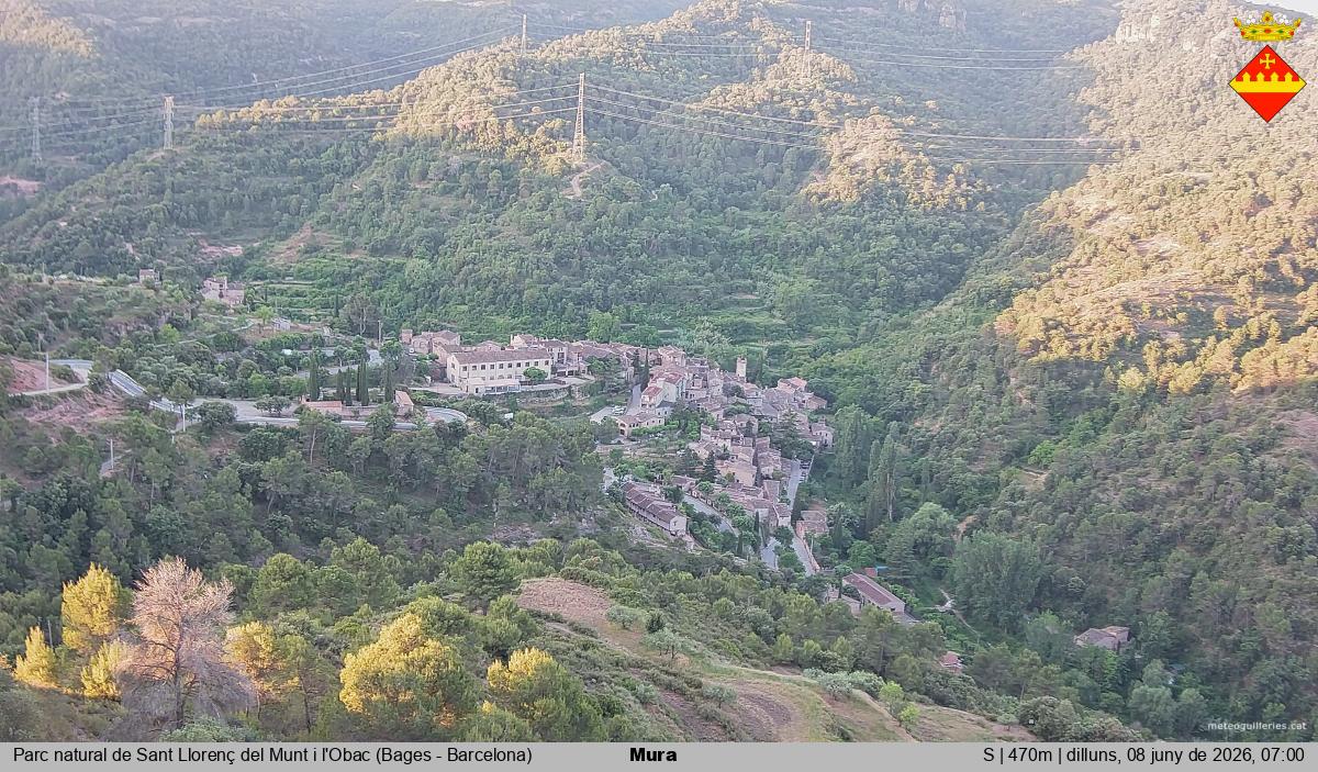 Mura 