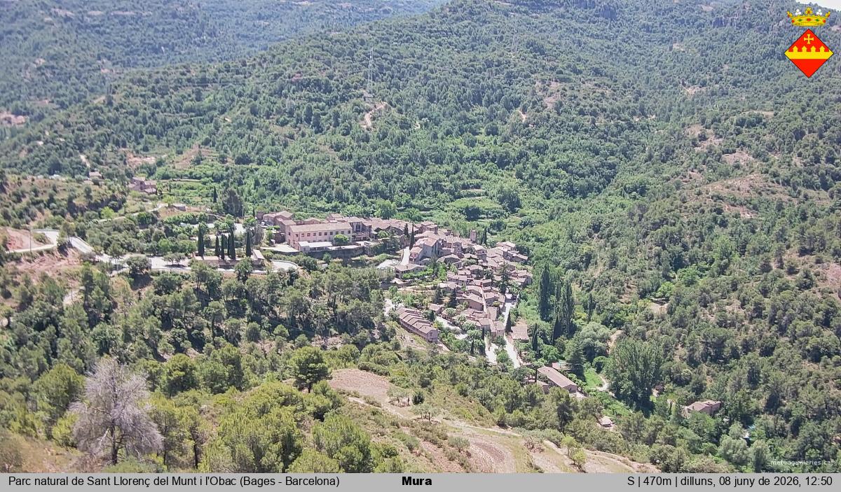 Mura 