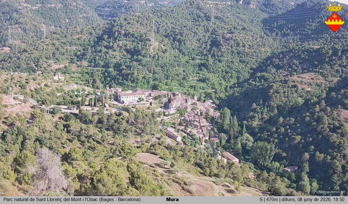 Mura 