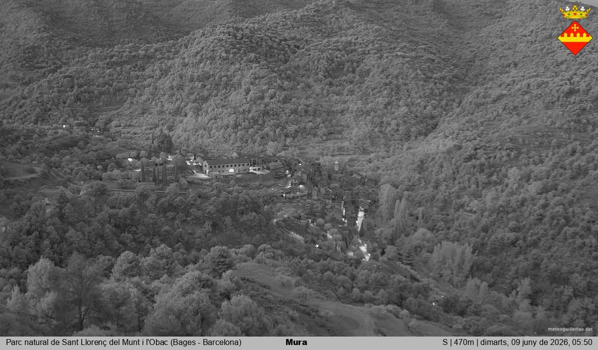 Mura 