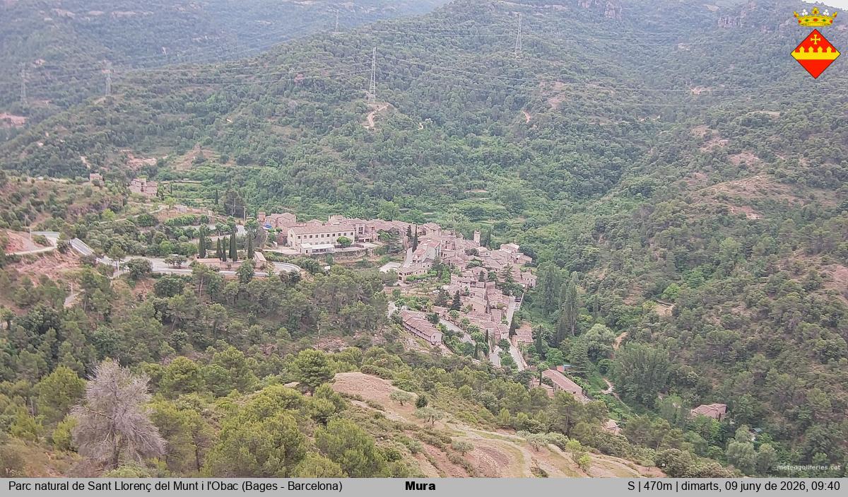 Mura 