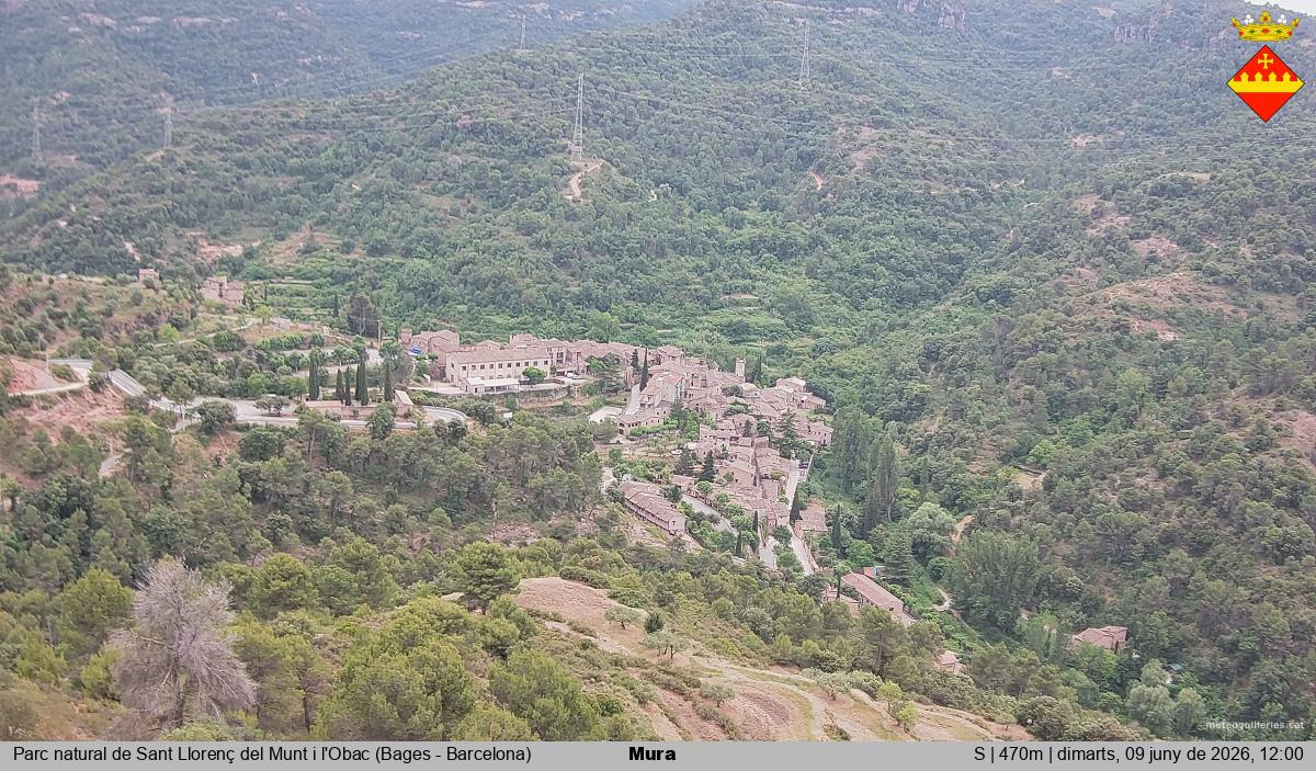 Mura 