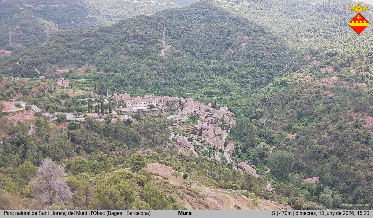 Mura 
