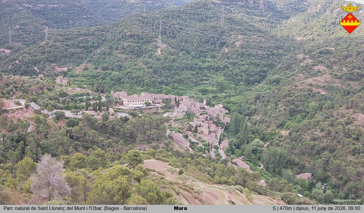Mura 