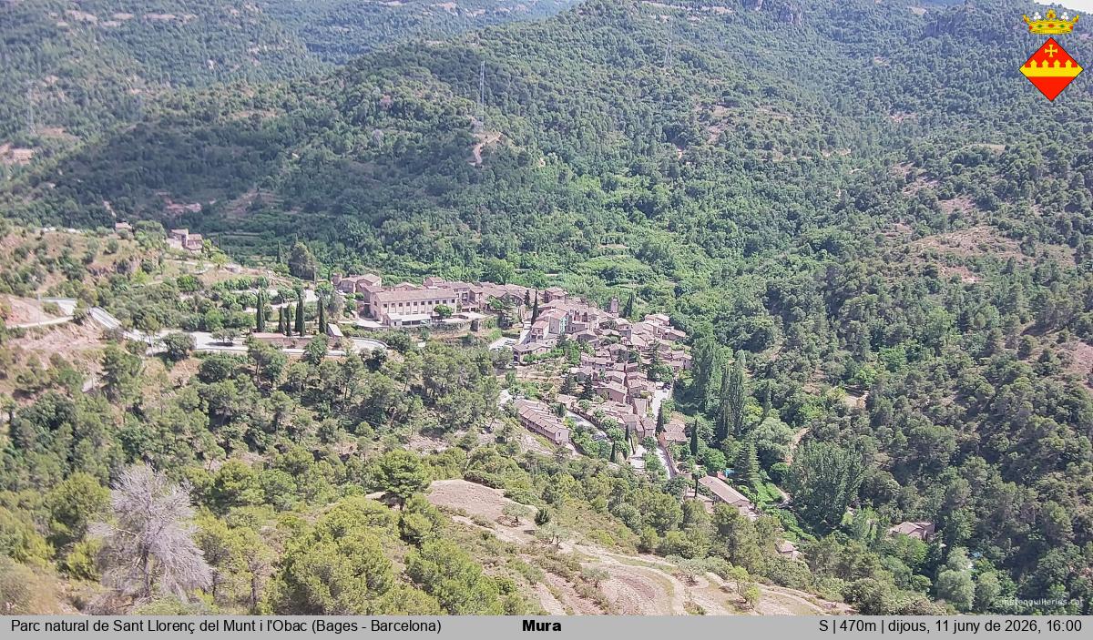 Mura 
