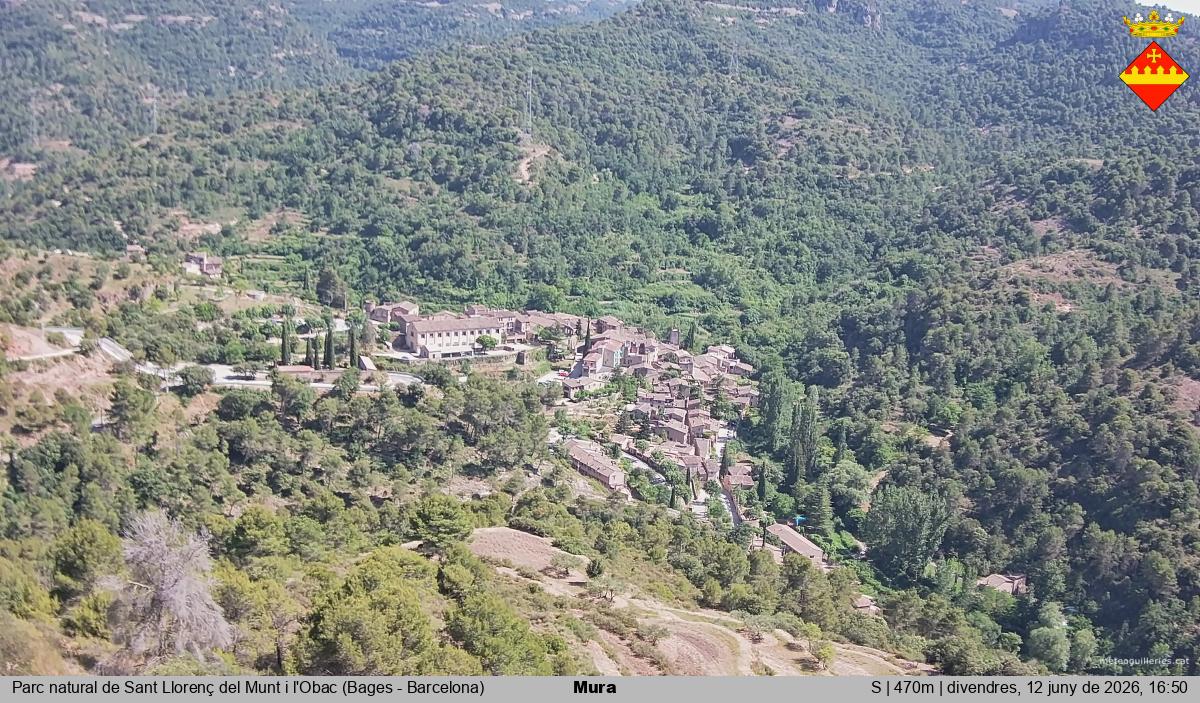 Mura 