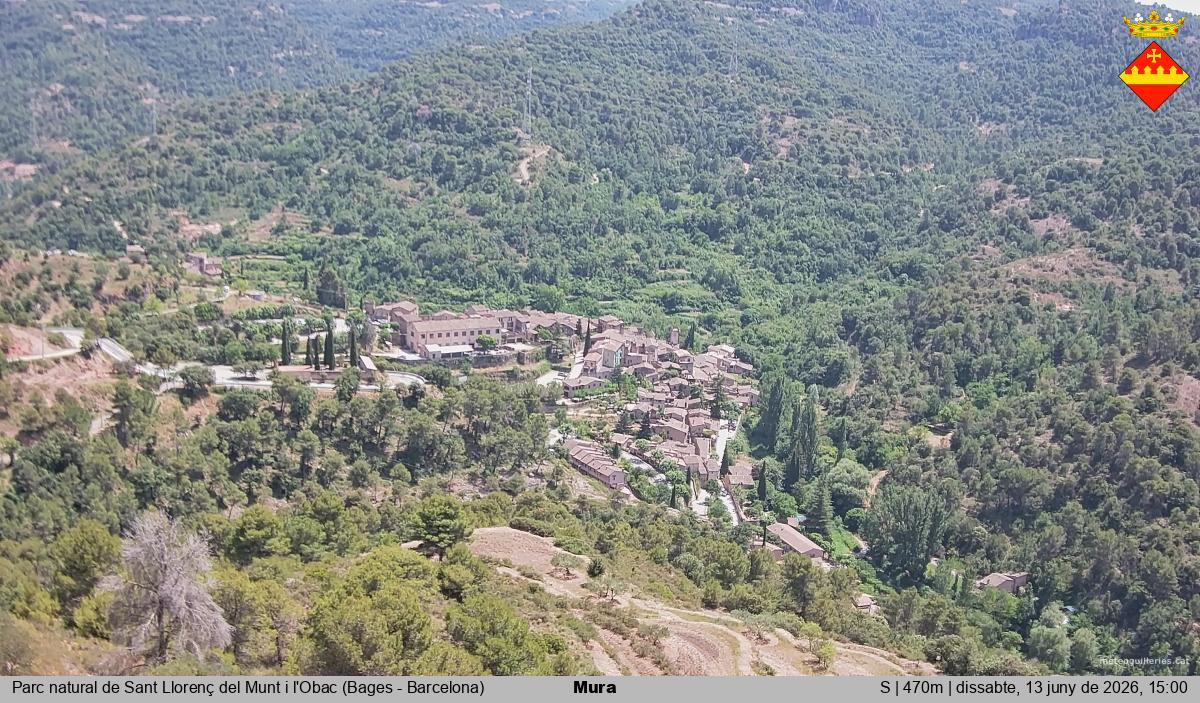 Mura 