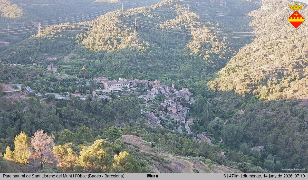 Mura 