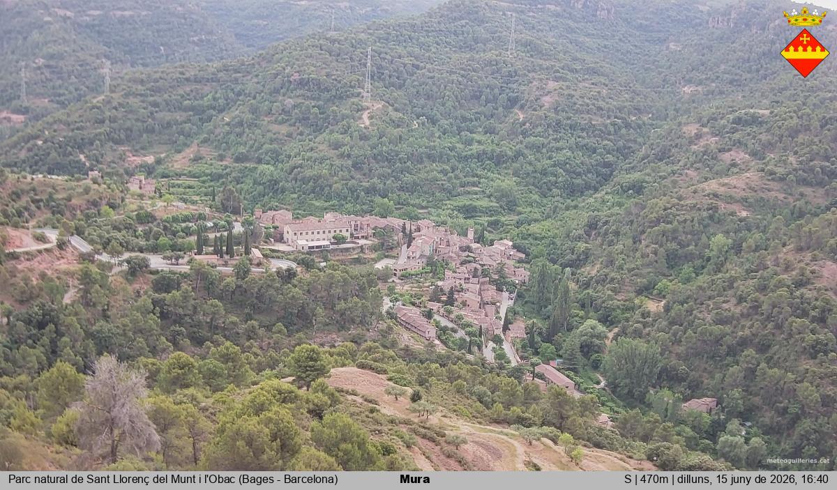 Mura 