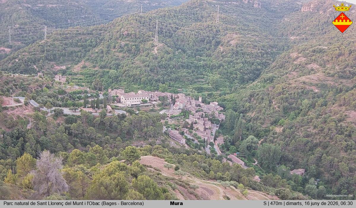 Mura 