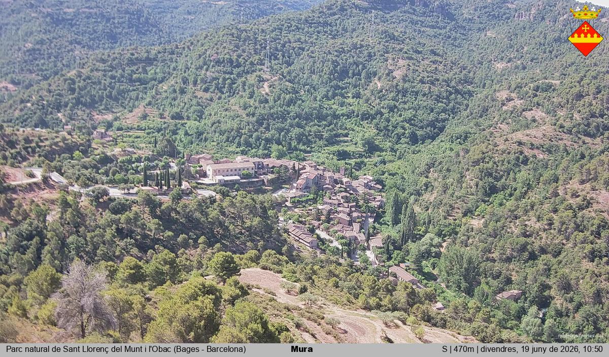Mura 