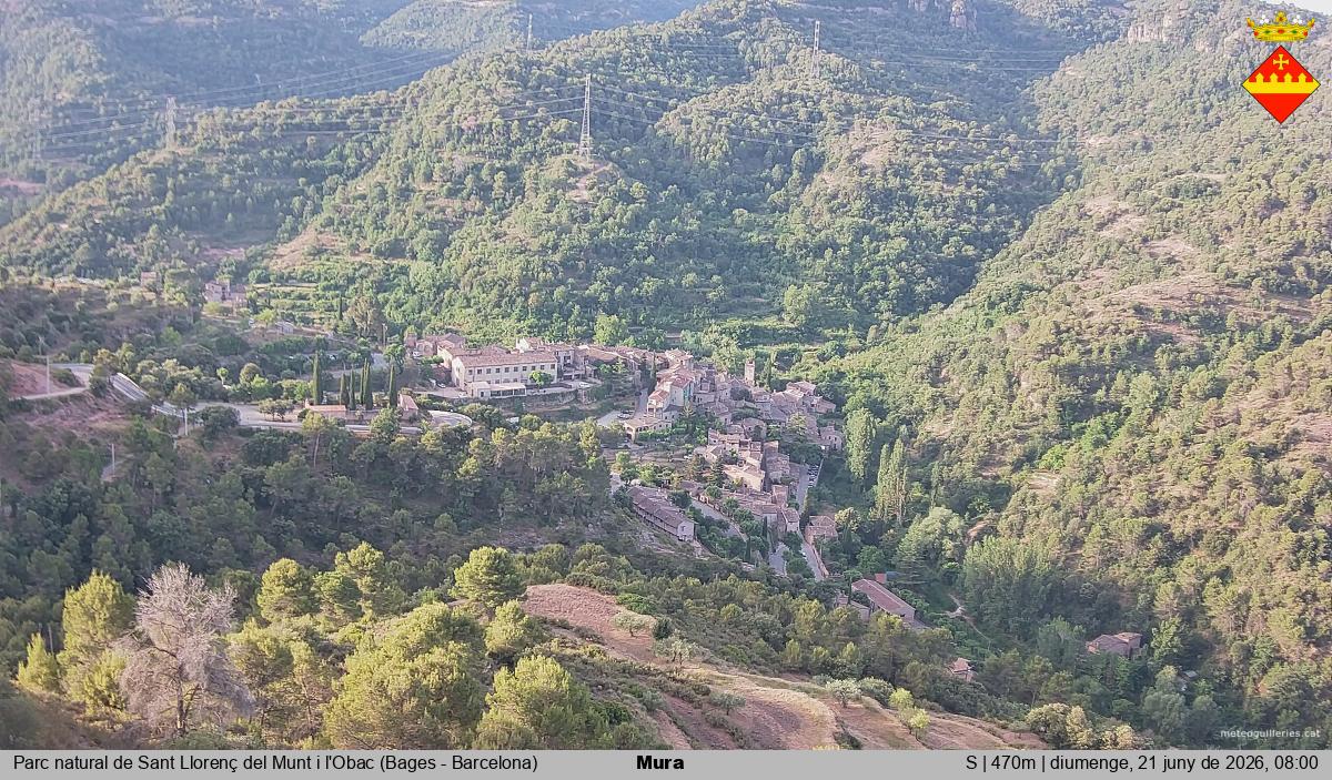 Mura 