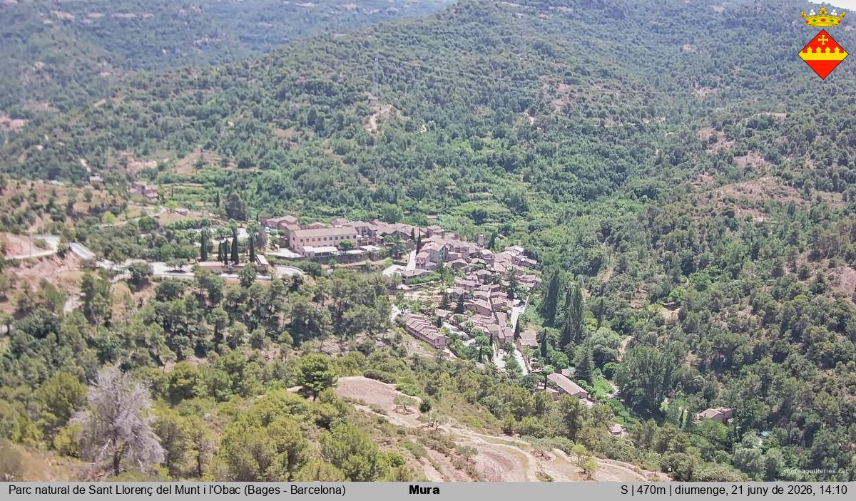 Mura 