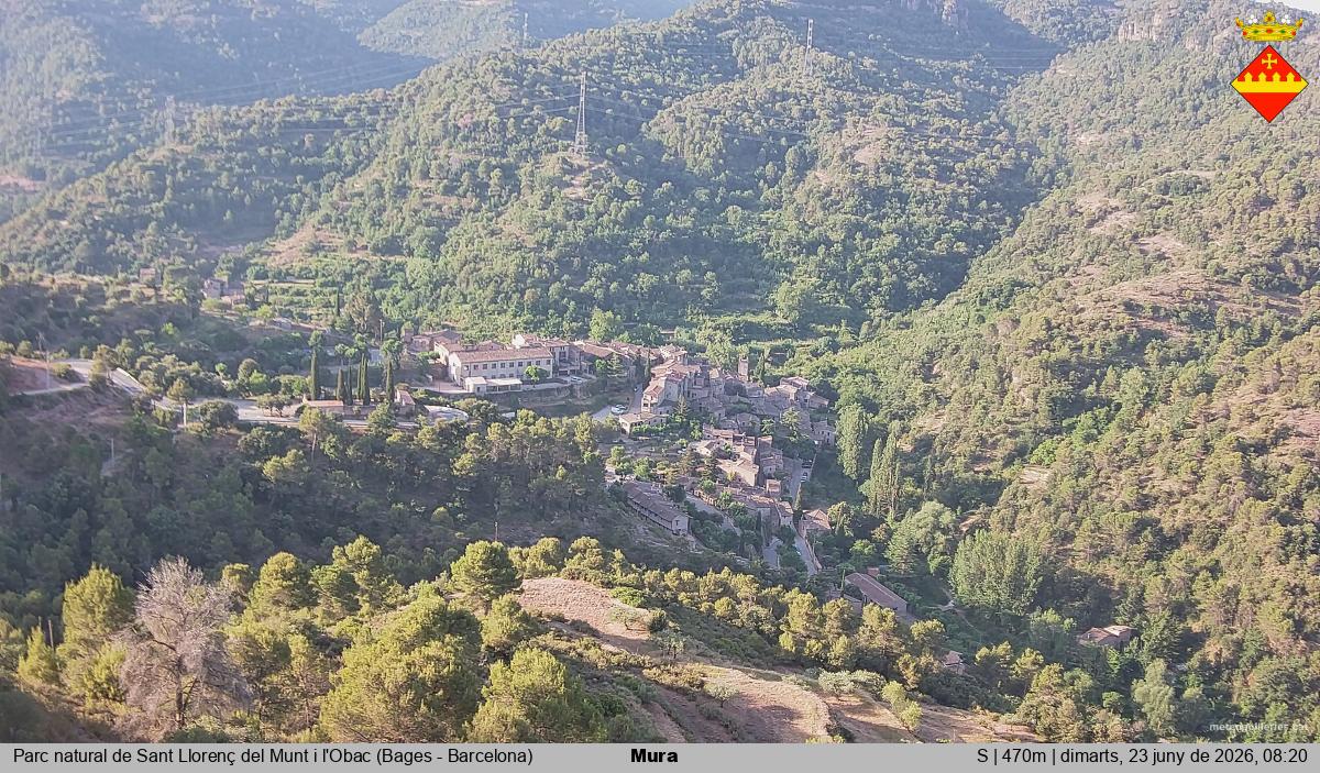 Mura 