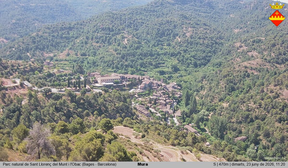 Mura 
