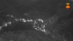 Webcams