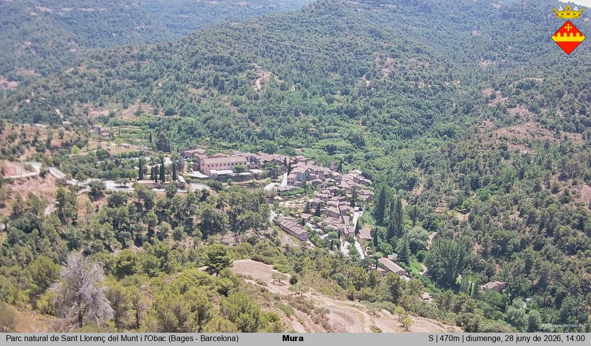 Mura 