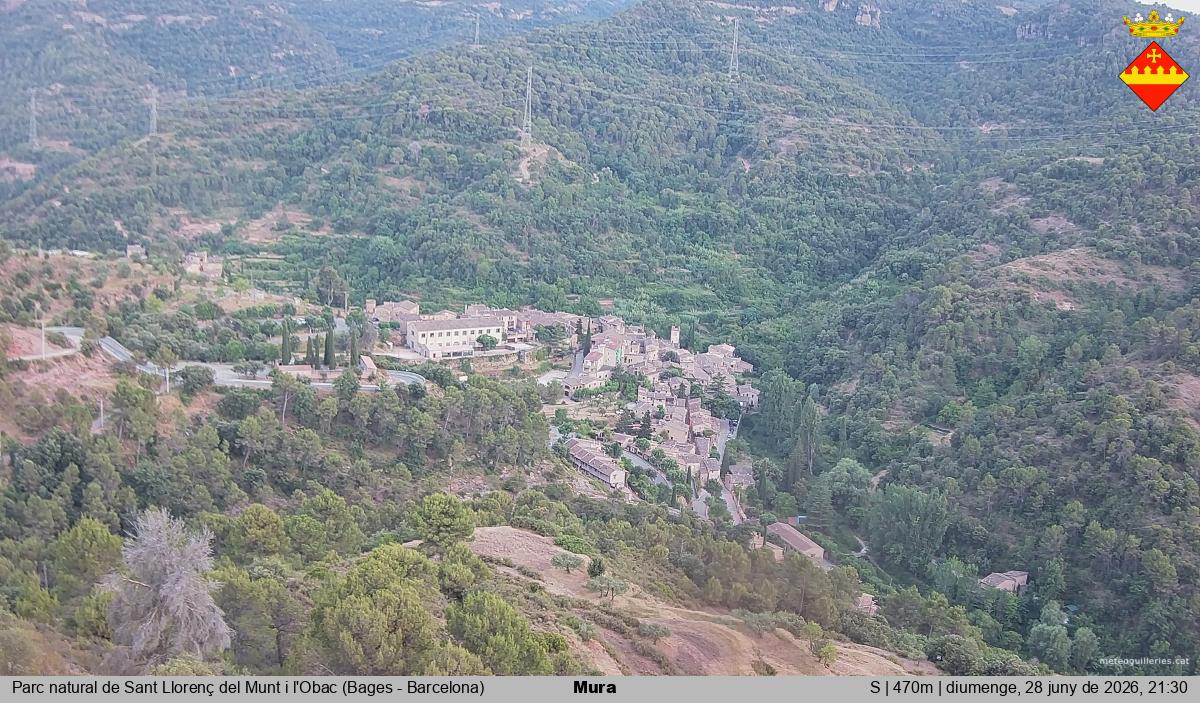 Mura 