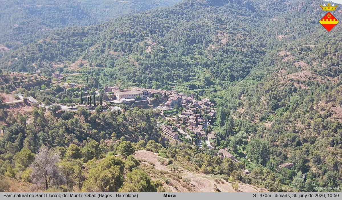 Mura 