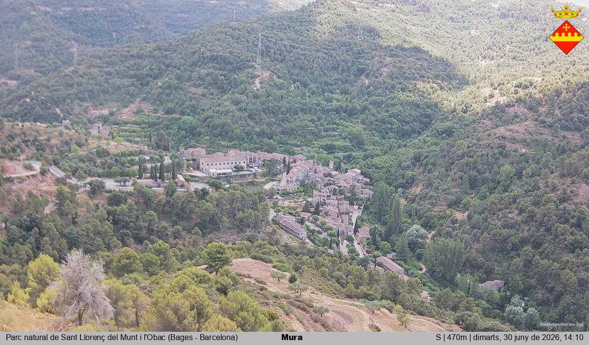 Mura 