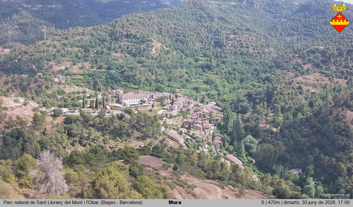 Mura 