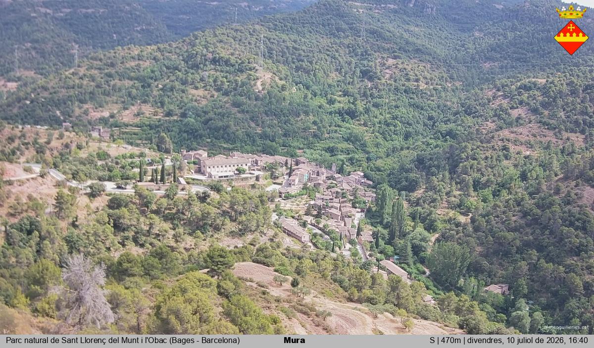 Mura 