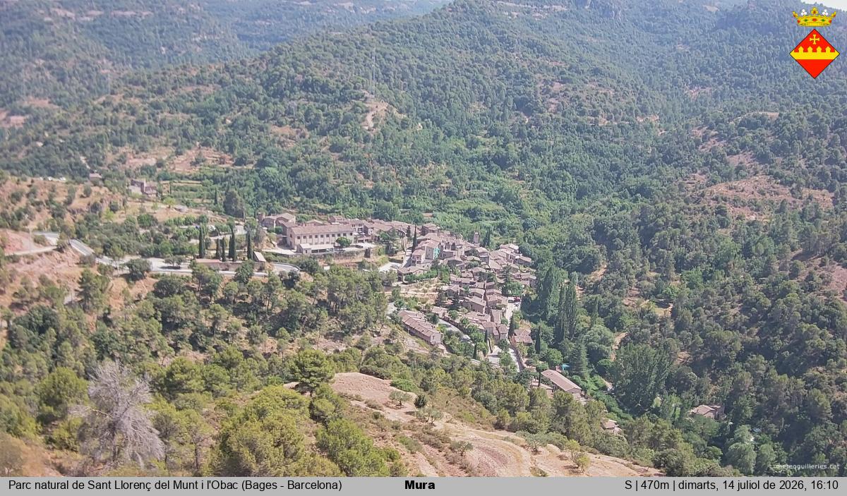 Mura 