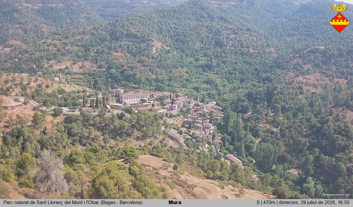 Mura 