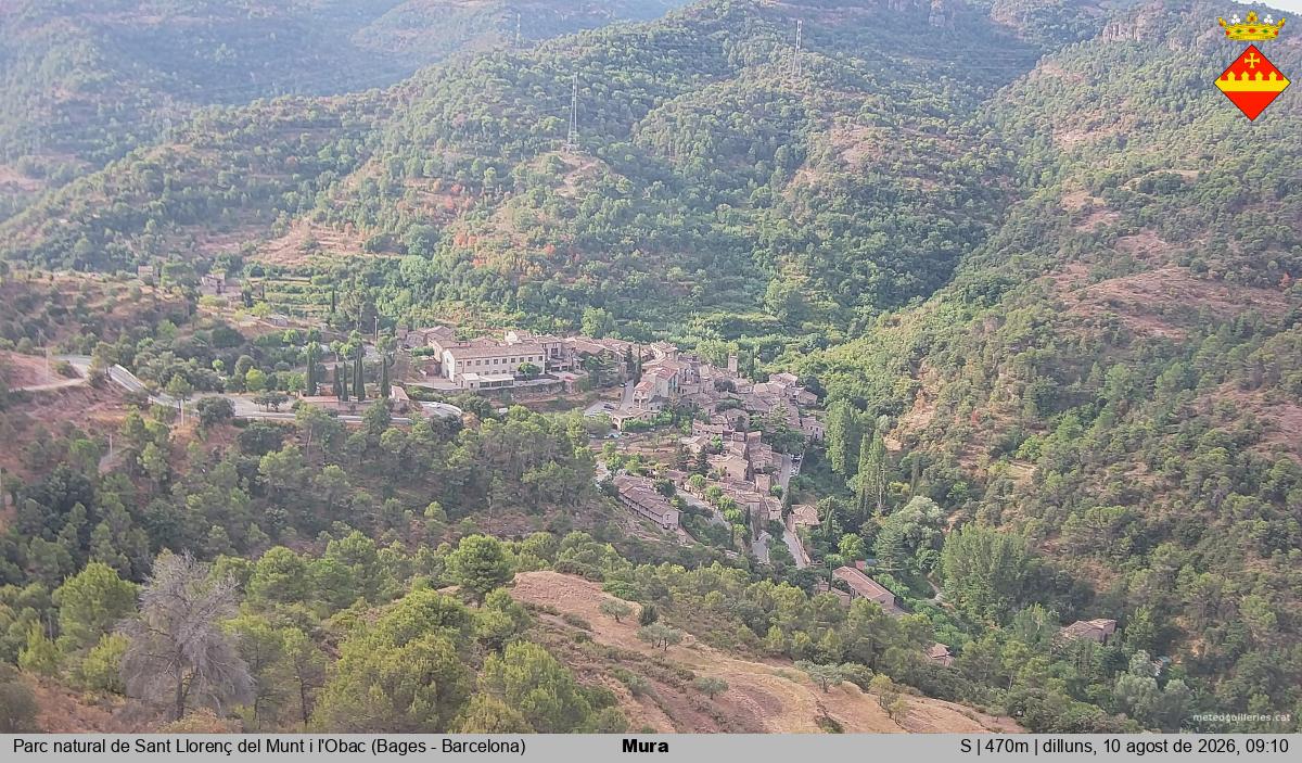 Mura 