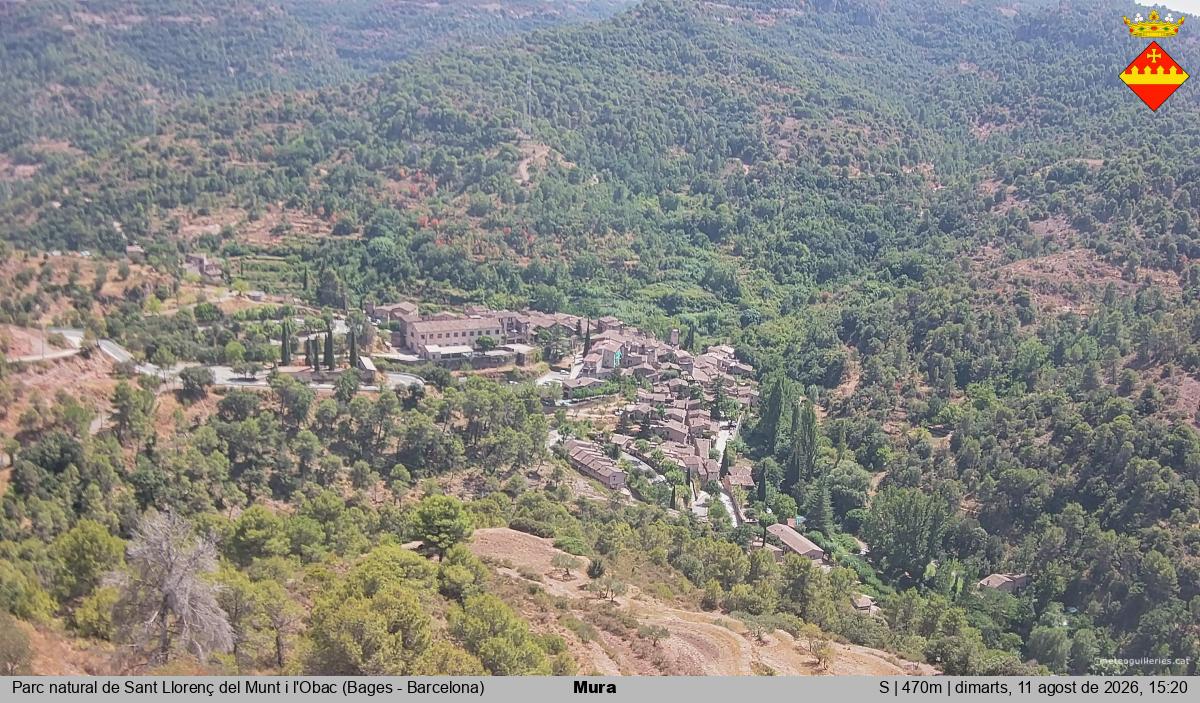 Mura 