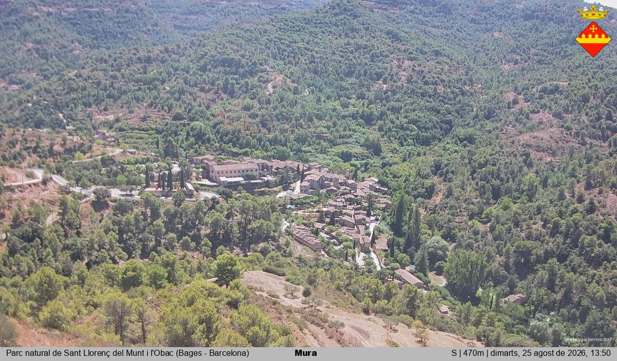 Mura 