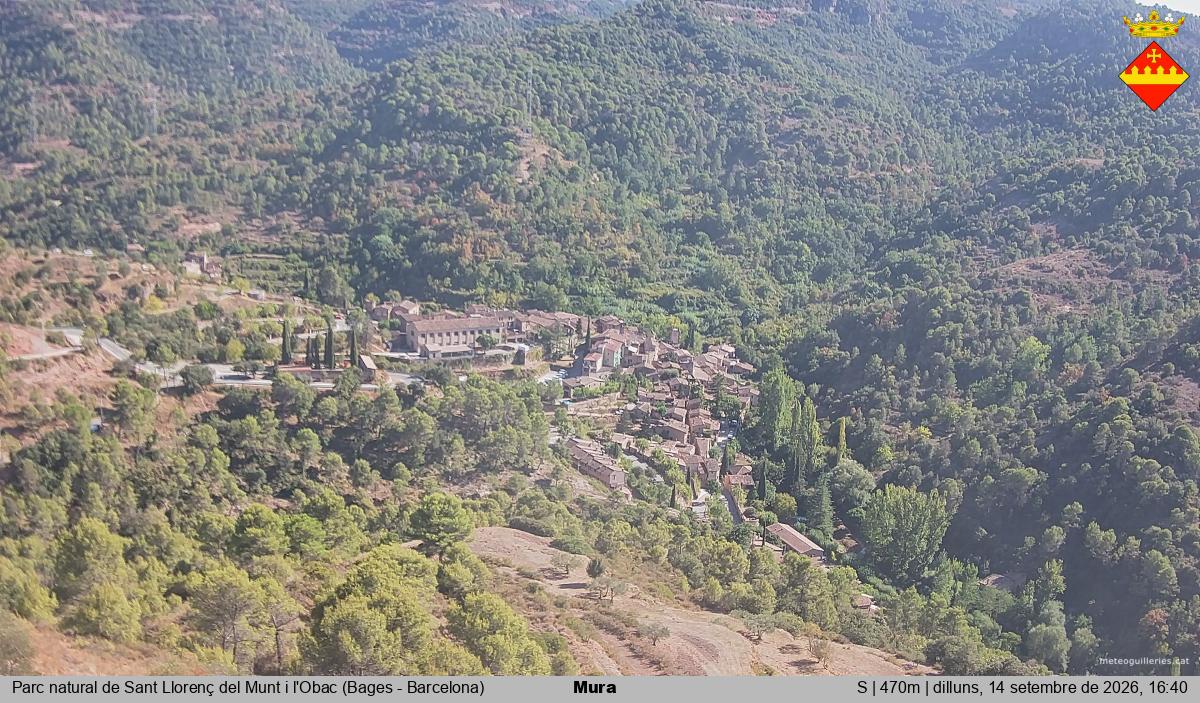Mura 