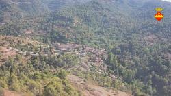 Webcams