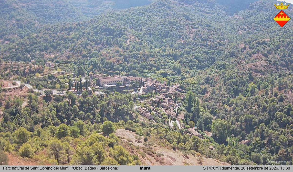 Mura 